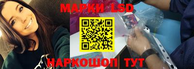 альфа пвп Новодвинск