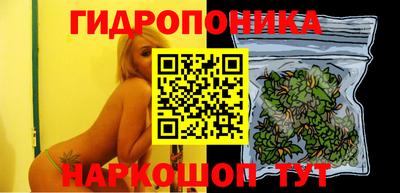 альфа пвп Новодвинск