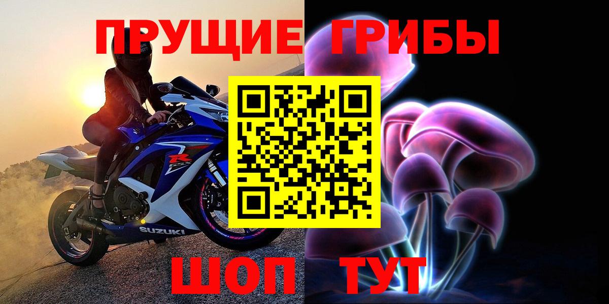 Сунжа  Галлюциногенные грибы прущие грибы  Вход с VPN 